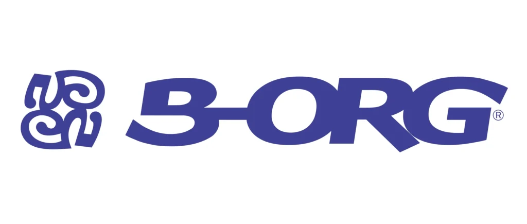 Logo from b-org a connection of BrightAnalytics