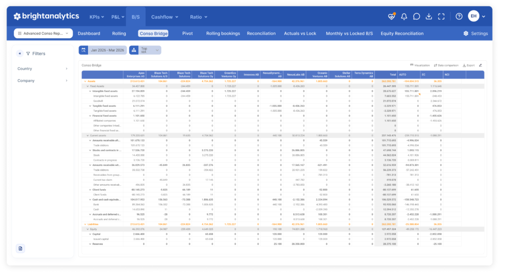 Image showing how automated consolidation-entries are shown in BrightAnalytics