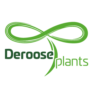 Deroose Plants Group logo