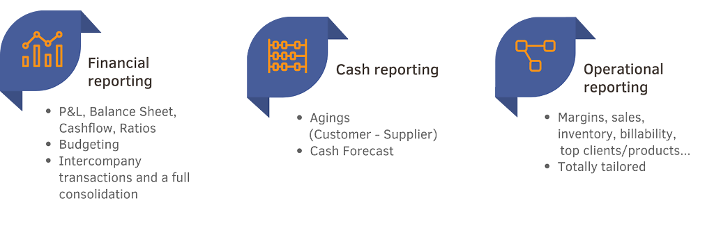 BI Book alternative - The reporting modules of BrightAnalytics: financial reporting, cash reporting, and operational reporting