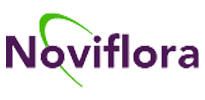 Noviflora-logo-home pagina-BrightAnalytics